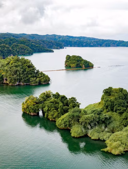 Parque Nacional Los Haitises (Medio Día)