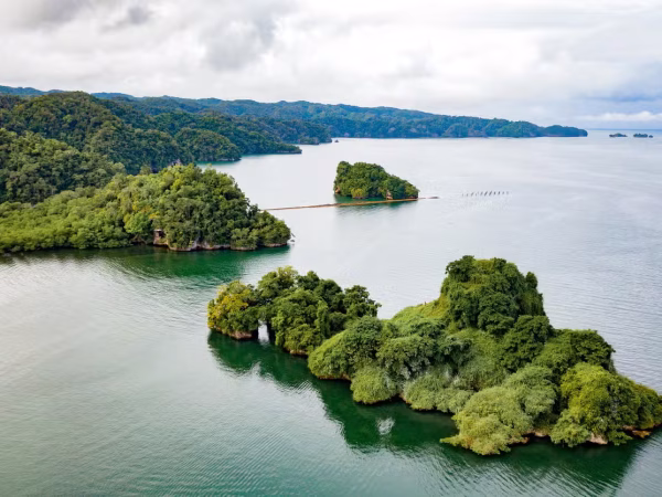 Parque Nacional Los Haitises (Medio Día)