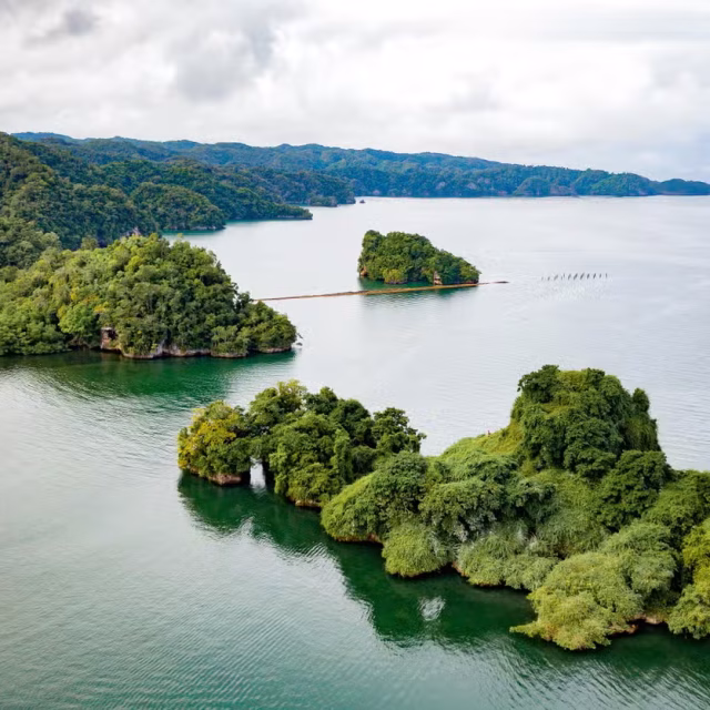 Parque Nacional Los Haitises (Medio Día)