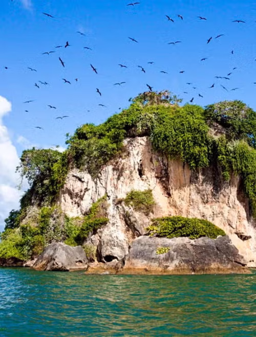 Parque Nacional Los Haitises (Día Completo)