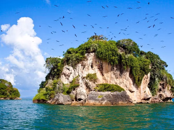 Parque Nacional Los Haitises (Día Completo)